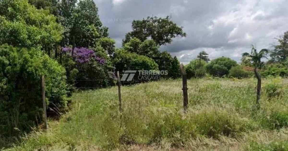 Imóvel comercial à venda no Brasília | Imobiliária Terrenos Cascavel | Terrenos residenciais, comercviais e Rurais