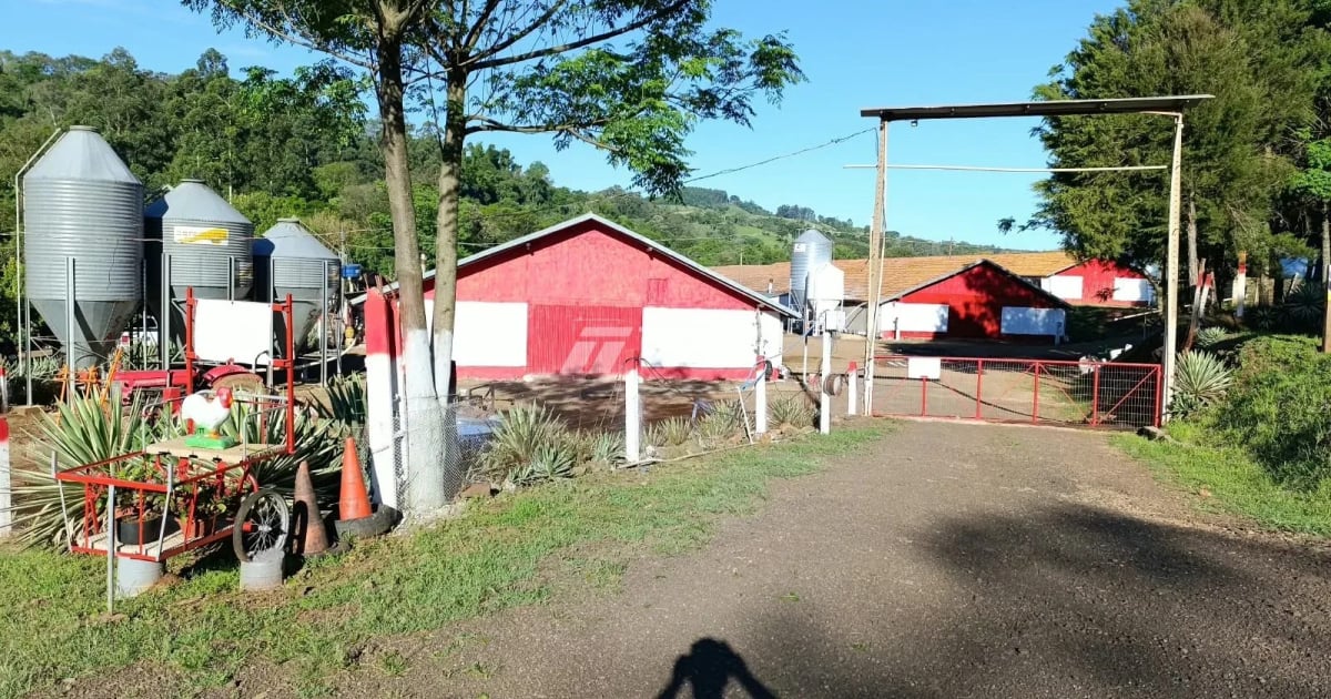 Imóvel rural à venda | Imobiliária Terrenos Cascavel | Terrenos residenciais, comercviais e Rurais